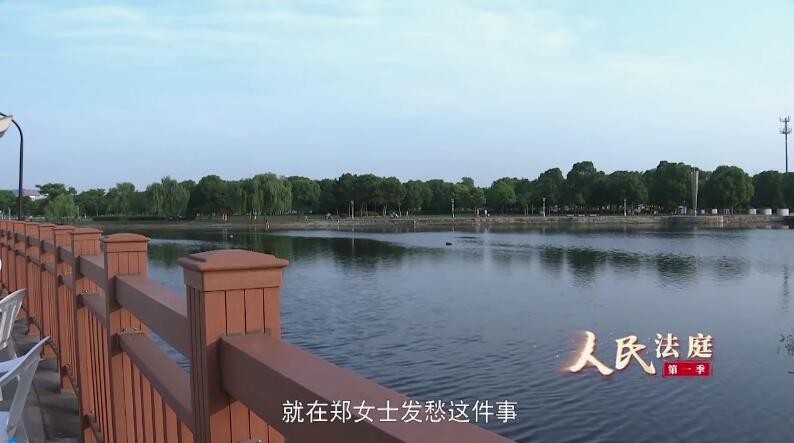 法官替开发商想办法，郑女士的房产证终于要办下来了 人民法庭第六集